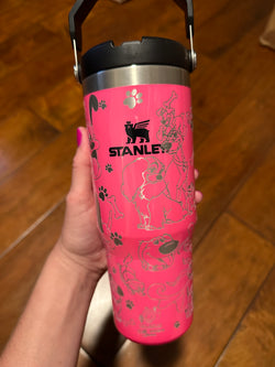 Imperfect - 30oz Stanley Iceflow - Neon Pink - Collab Dis Dogs